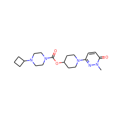 Cn1nc(N2CCC(OC(=O)N3CCN(C4CCC4)CC3)CC2)ccc1=O ZINC000144862482