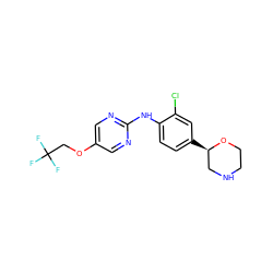 FC(F)(F)COc1cnc(Nc2ccc([C@@H]3CNCCO3)cc2Cl)nc1 ZINC000149993916