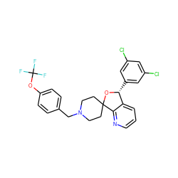 FC(F)(F)Oc1ccc(CN2CCC3(CC2)O[C@H](c2cc(Cl)cc(Cl)c2)c2cccnc23)cc1 ZINC000072317811