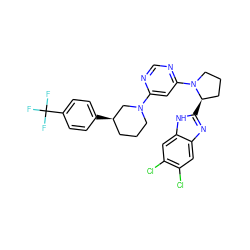 FC(F)(F)c1ccc([C@@H]2CCCN(c3cc(N4CCC[C@H]4c4nc5cc(Cl)c(Cl)cc5[nH]4)ncn3)C2)cc1 ZINC000082151459