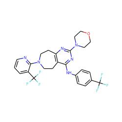 FC(F)(F)c1ccc(Nc2nc(N3CCOCC3)nc3c2CCN(c2ncccc2C(F)(F)F)CC3)cc1 ZINC000043173944