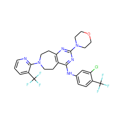 FC(F)(F)c1ccc(Nc2nc(N3CCOCC3)nc3c2CCN(c2ncccc2C(F)(F)F)CC3)cc1Cl ZINC000147381230