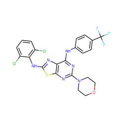 FC(F)(F)c1ccc(Nc2nc(N3CCOCC3)nc3sc(Nc4c(Cl)cccc4Cl)nc23)cc1 ZINC000044361133