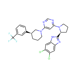 FC(F)(F)c1cccc([C@@H]2CCCN(c3cc(N4CCC[C@H]4c4nc5cc(Cl)c(Cl)cc5[nH]4)ncn3)C2)c1 ZINC000082151448