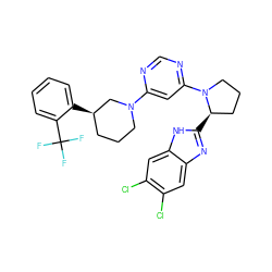 FC(F)(F)c1ccccc1[C@@H]1CCCN(c2cc(N3CCC[C@H]3c3nc4cc(Cl)c(Cl)cc4[nH]3)ncn2)C1 ZINC000082151441