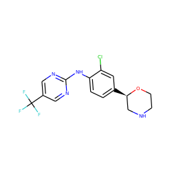 FC(F)(F)c1cnc(Nc2ccc([C@@H]3CNCCO3)cc2Cl)nc1 ZINC000149997763