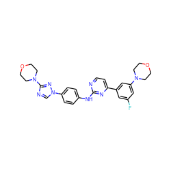 Fc1cc(-c2ccnc(Nc3ccc(-n4cnc(N5CCOCC5)n4)cc3)n2)cc(N2CCOCC2)c1 ZINC000044460355