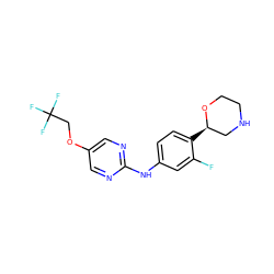 Fc1cc(Nc2ncc(OCC(F)(F)F)cn2)ccc1[C@@H]1CNCCO1 ZINC000150024285