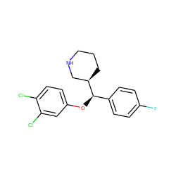 Fc1ccc([C@@H](Oc2ccc(Cl)c(Cl)c2)[C@@H]2CCCNC2)cc1 ZINC000013530763