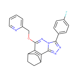 Fc1ccc(-c2nnc3c4c(c(OCc5ccccn5)nn23)C2CCC4CC2)cc1 ZINC000013610203