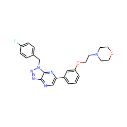 Fc1ccc(Cn2nnc3ncc(-c4cccc(OCCN5CCOCC5)c4)nc32)cc1 ZINC000043082730