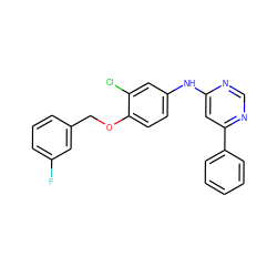 Fc1cccc(COc2ccc(Nc3cc(-c4ccccc4)ncn3)cc2Cl)c1 ZINC000066075498