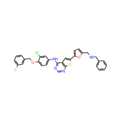 Fc1cccc(COc2ccc(Nc3ncnc4sc(-c5ccc(CNCc6ccccc6)o5)cc34)cc2Cl)c1 ZINC000042887599