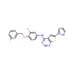 Fc1cccc(COc2ccc(Nc3ncnc4sc(-c5ccc[nH]5)cc34)cc2Cl)c1 ZINC000040913409