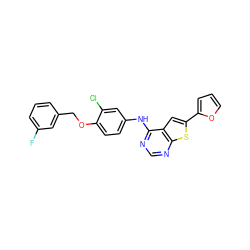 Fc1cccc(COc2ccc(Nc3ncnc4sc(-c5ccco5)cc34)cc2Cl)c1 ZINC000040404350