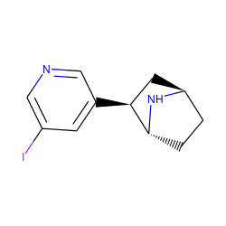 Ic1cncc([C@H]2C[C@H]3CC[C@H]2N3)c1 ZINC000100009028