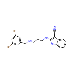 N#Cc1c(NCCCNCc2cc(Br)cc(Br)c2)[nH]c2ccccc12 ZINC000028365189