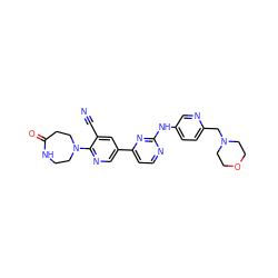 N#Cc1cc(-c2ccnc(Nc3ccc(CN4CCOCC4)nc3)n2)cnc1N1CCNC(=O)CC1 ZINC000223209032