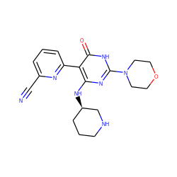 N#Cc1cccc(-c2c(N[C@@H]3CCCNC3)nc(N3CCOCC3)[nH]c2=O)n1 ZINC000221553467