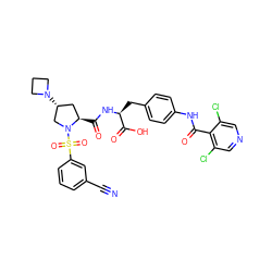 N#Cc1cccc(S(=O)(=O)N2C[C@H](N3CCC3)C[C@H]2C(=O)N[C@@H](Cc2ccc(NC(=O)c3c(Cl)cncc3Cl)cc2)C(=O)O)c1 ZINC000049679767