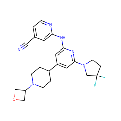 N#Cc1ccnc(Nc2cc(C3CCN(C4COC4)CC3)cc(N3CCC(F)(F)C3)n2)c1 ZINC000207101276