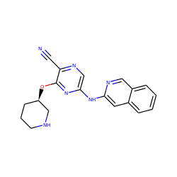 N#Cc1ncc(Nc2cc3ccccc3cn2)nc1O[C@@H]1CCCNC1 ZINC000082152823