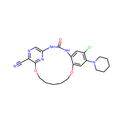 N#Cc1ncc2nc1OCCCCCOc1cc(N3CCCCC3)c(Cl)cc1NC(=O)N2 ZINC000014958323