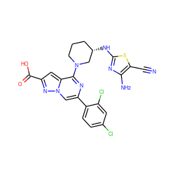 N#Cc1sc(N[C@H]2CCCN(c3nc(-c4ccc(Cl)cc4Cl)cn4nc(C(=O)O)cc34)C2)nc1N ZINC000043201670