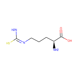 N/C(S)=N\CCC[C@H](N)C(=O)O ZINC000003873047