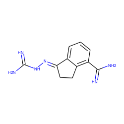 N=C(N)N/N=C1\CCc2c(C(=N)N)cccc21 ZINC000100023874