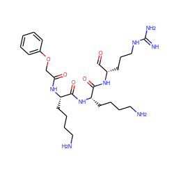 N=C(N)NCCC[C@@H](C=O)NC(=O)[C@H](CCCCN)NC(=O)[C@H](CCCCN)NC(=O)COc1ccccc1 ZINC000042890777