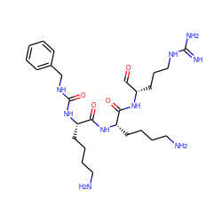 N=C(N)NCCC[C@@H](C=O)NC(=O)[C@H](CCCCN)NC(=O)[C@H](CCCCN)NC(=O)NCc1ccccc1 ZINC000049881714