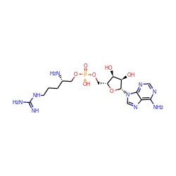 N=C(N)NCCC[C@H](N)CO[P@](=O)(O)OC[C@H]1O[C@@H](n2cnc3c(N)ncnc32)[C@H](O)[C@@H]1O ZINC000029544163