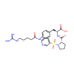 N=C(N)NCCCCC(=O)Nc1ccc(C[C@H](NC(=O)[C@@H]2CCCN2S(=O)(=O)c2cccnc2)C(=O)O)cc1 ZINC001772624486