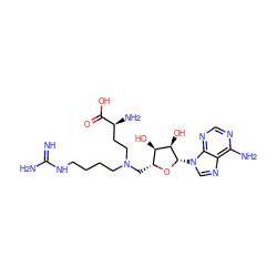 N=C(N)NCCCCN(CC[C@H](N)C(=O)O)C[C@H]1O[C@@H](n2cnc3c(N)ncnc32)[C@H](O)[C@@H]1O ZINC000049069839