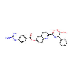 N=C(N)Nc1ccc(C(=O)Oc2ccc3nc(C(=O)N[C@@H](C(=O)O)c4ccccc4)ccc3c2)cc1 ZINC001772643674