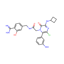 N=C(N)c1ccc(CNC(=O)Cn2c(-c3cccc(N)c3)c(Cl)nc(NC3CCC3)c2=O)cc1O ZINC000028708060