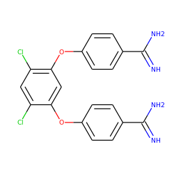 N=C(N)c1ccc(Oc2cc(Oc3ccc(C(=N)N)cc3)c(Cl)cc2Cl)cc1 ZINC000013797386