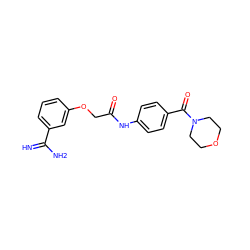 N=C(N)c1cccc(OCC(=O)Nc2ccc(C(=O)N3CCOCC3)cc2)c1 ZINC000026380840