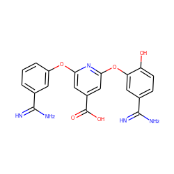 N=C(N)c1cccc(Oc2cc(C(=O)O)cc(Oc3cc(C(=N)N)ccc3O)n2)c1 ZINC000013474063