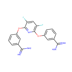 N=C(N)c1cccc(Oc2nc(Oc3cccc(C(=N)N)c3)c(F)cc2F)c1 ZINC000013781063