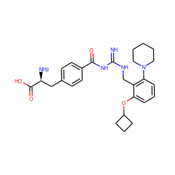 N=C(NCc1c(OC2CCC2)cccc1N1CCCCC1)NC(=O)c1ccc(C[C@H](N)C(=O)O)cc1 ZINC000653848318