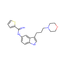 N=C(Nc1ccc2[nH]cc(CCCN3CCOCC3)c2c1)c1cccs1 ZINC000034805844