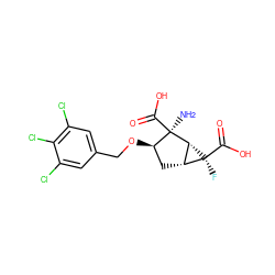 N[C@@]1(C(=O)O)[C@H](OCc2cc(Cl)c(Cl)c(Cl)c2)C[C@@H]2[C@H]1[C@@]2(F)C(=O)O ZINC000013582212