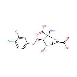 N[C@@]1(C(=O)O)[C@H](OCc2ccc(Cl)c(Cl)c2)[C@@H](O)[C@@H]2[C@H]1[C@H]2C(=O)O ZINC000141035638