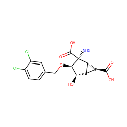 N[C@@]1(C(=O)O)[C@H](OCc2ccc(Cl)c(Cl)c2)[C@H](O)[C@@H]2[C@H]1[C@H]2C(=O)O ZINC001772613103