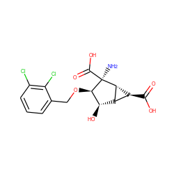 N[C@@]1(C(=O)O)[C@H](OCc2cccc(Cl)c2Cl)[C@H](O)[C@@H]2[C@H]1[C@H]2C(=O)O ZINC001772655731