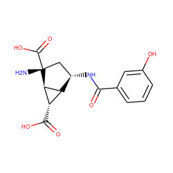 N[C@@]1(C(=O)O)C[C@H](NC(=O)c2cccc(O)c2)[C@H]2[C@H](C(=O)O)[C@H]21 ZINC000202464097