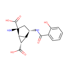 N[C@@]1(C(=O)O)C[C@H](NC(=O)c2ccccc2O)[C@H]2[C@H](C(=O)O)[C@H]21 ZINC000202464717