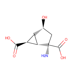 N[C@@]1(C(=O)O)C[C@H](O)[C@@H]2[C@H]1[C@H]2C(=O)O ZINC000038221002